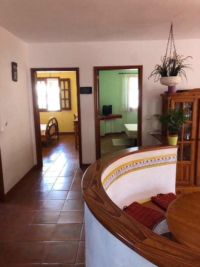 Palmeras Ingenio Exterior photo